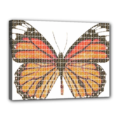 Butterfly Canvas 16  X 12  by cocksoupart