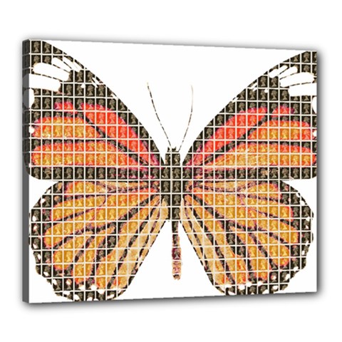 Butterfly Canvas 24  X 20 