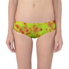 Poppy I Classic Bikini Bottoms