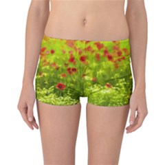 Poppy I Reversible Boyleg Bikini Bottoms