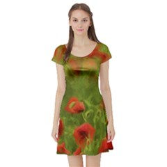 Poppy Ii - Wonderful Summer Feelings Short Sleeve Skater Dress by colorfulartwork