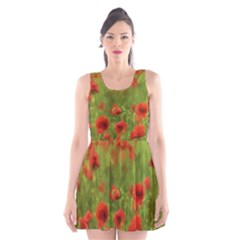 Poppy Ii - Wonderful Summer Feelings Scoop Neck Skater Dress by colorfulartwork