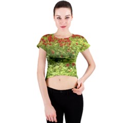 Poppy V Crew Neck Crop Top by colorfulartwork