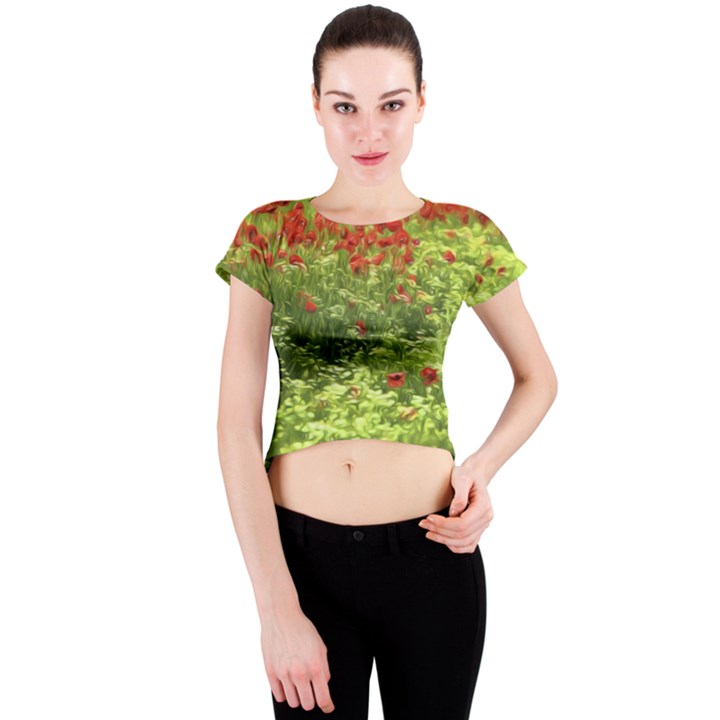 Poppy V Crew Neck Crop Top