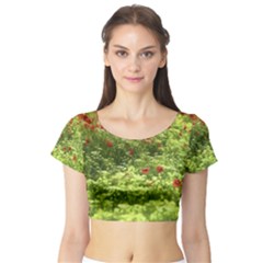 Poppy V Short Sleeve Crop Top (tight Fit)