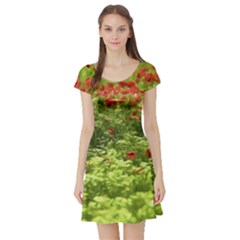 Poppy V Short Sleeve Skater Dress by colorfulartwork