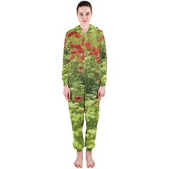 Poppy V Hooded Jumpsuit (ladies) 