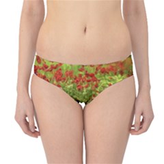 Poppy V Hipster Bikini Bottoms