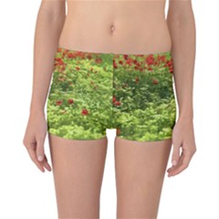 Poppy V Reversible Boyleg Bikini Bottoms by colorfulartwork