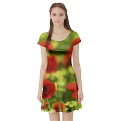 Poppy Vi Short Sleeve Skater Dress by colorfulartwork