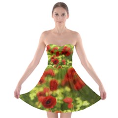 Poppy Vi Strapless Dresses