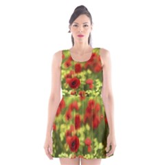 Poppy Vi Scoop Neck Skater Dress by colorfulartwork