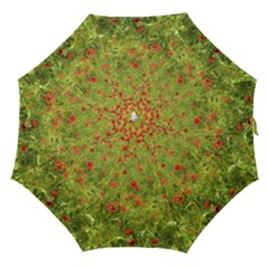 Poppy VII Straight Umbrellas