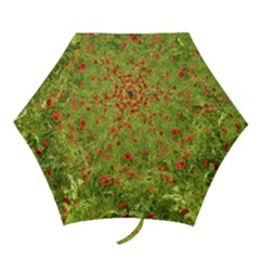 Poppy VII Mini Folding Umbrellas