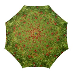 Poppy VII Golf Umbrellas