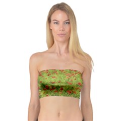 Poppy VII Bandeau Top