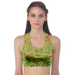 Poppy VII Sports Bra