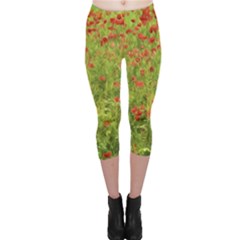 Poppy VII Capri Leggings 