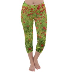 Poppy VII Capri Winter Leggings 