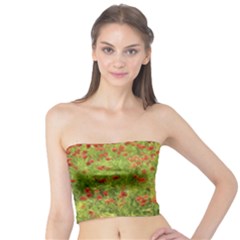 Poppy VII Tube Top