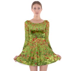 Poppy VII Long Sleeve Skater Dress