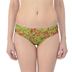 Poppy VII Hipster Bikini Bottoms