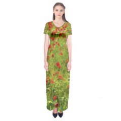 Poppy VII Short Sleeve Maxi Dress