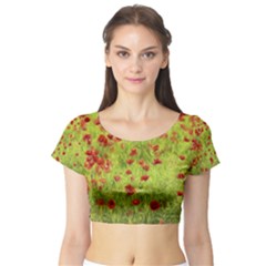 Poppy Viii Short Sleeve Crop Top (tight Fit) by colorfulartwork