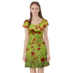 Poppy Viii Short Sleeve Skater Dress by colorfulartwork