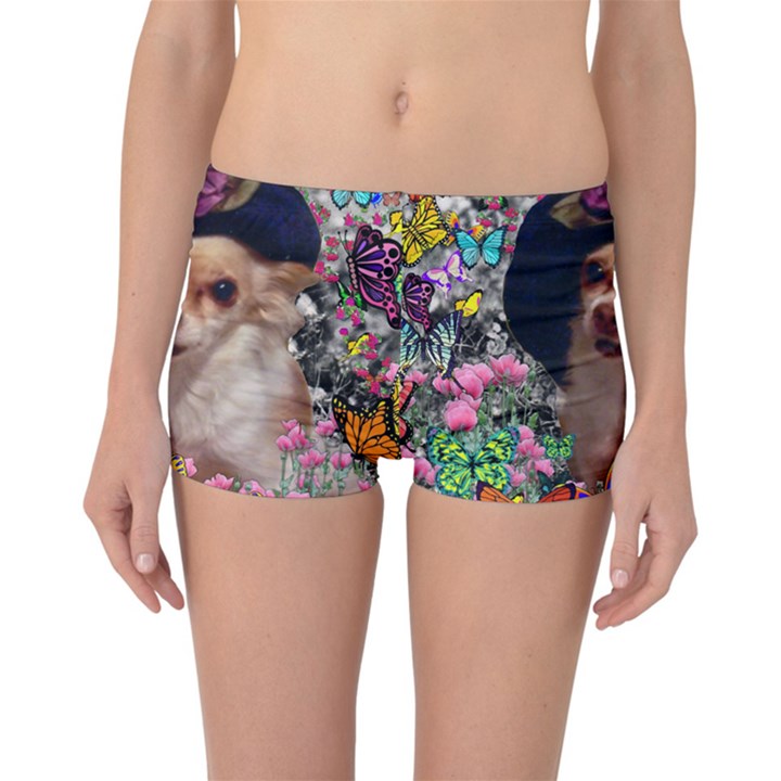 Chi Chi In Butterflies, Chihuahua Dog In Cute Hat Reversible Boyleg Bikini Bottoms