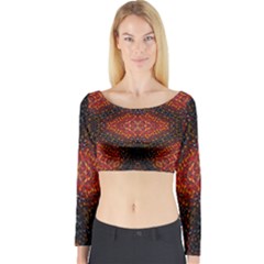 Velvel Long Sleeve Crop Top