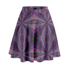 Learn Truth High Waist Skirt by MRTACPANS