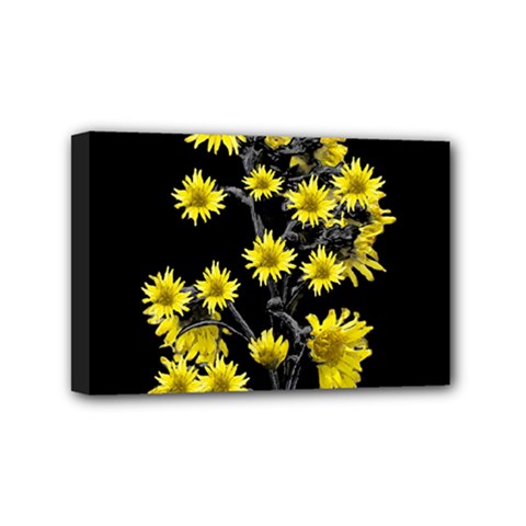 Sunflowers Over Black Mini Canvas 6  X 4  by dflcprints