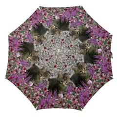 Emma In Flowers I, Little Gray Tabby Kitty Cat Straight Umbrellas