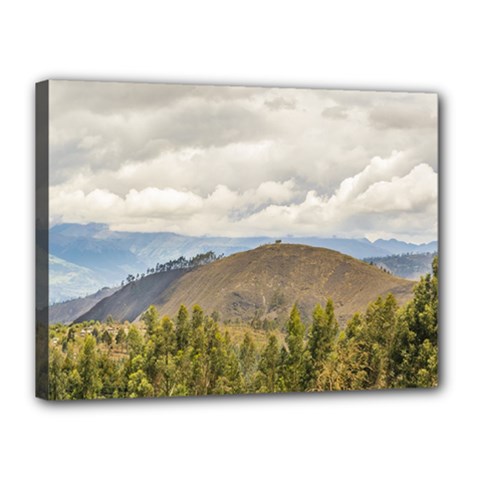 Ecuadorian Landscape At Chimborazo Province Canvas 16  X 12  by dflcprints