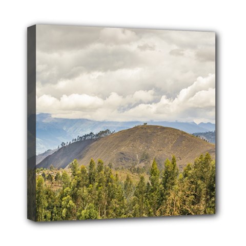 Ecuadorian Landscape At Chimborazo Province Mini Canvas 8  X 8  by dflcprints