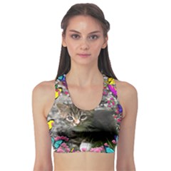 Emma In Butterflies I, Gray Tabby Kitten Sports Bra by DianeClancy