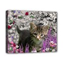 Emma In Flowers I, Little Gray Tabby Kitty Cat Canvas 10  x 8  View1