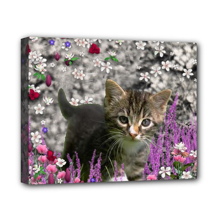 Emma In Flowers I, Little Gray Tabby Kitty Cat Canvas 10  x 8 