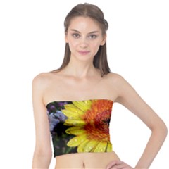 Yellow Flower Close Up Tube Top by MichaelMoriartyPhotography