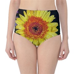 Yellow Flower Close Up High-waist Bikini Bottoms