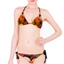 Heirloom Tomatoes Bikini Set View1