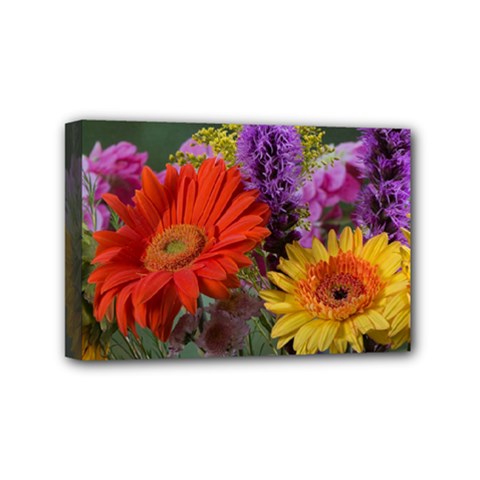 Colorful Flowers Mini Canvas 6  X 4 