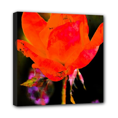 Red Beauty Mini Canvas 8  X 8  by MichaelMoriartyPhotography