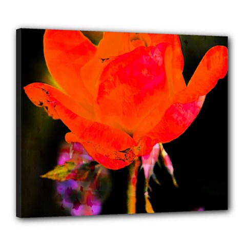 Red Beauty Canvas 24  X 20  by MichaelMoriartyPhotography