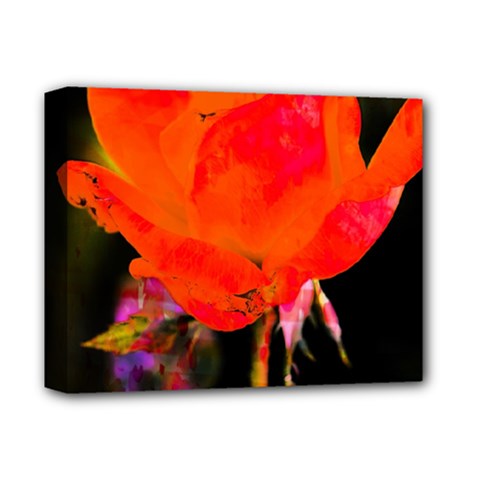 Red Beauty Deluxe Canvas 14  x 11 