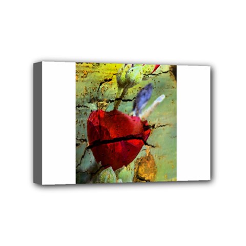 Rusty Globe Mallow Flower Mini Canvas 6  X 4 