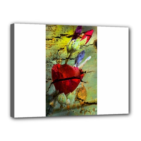 Rusty Globe Mallow Flower Canvas 16  X 12 