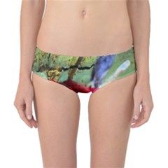 Rusty Globe Mallow Flower Classic Bikini Bottoms