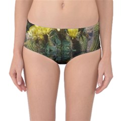 Cactus Flowers With Reflection Pool Mid-waist Bikini Bottoms